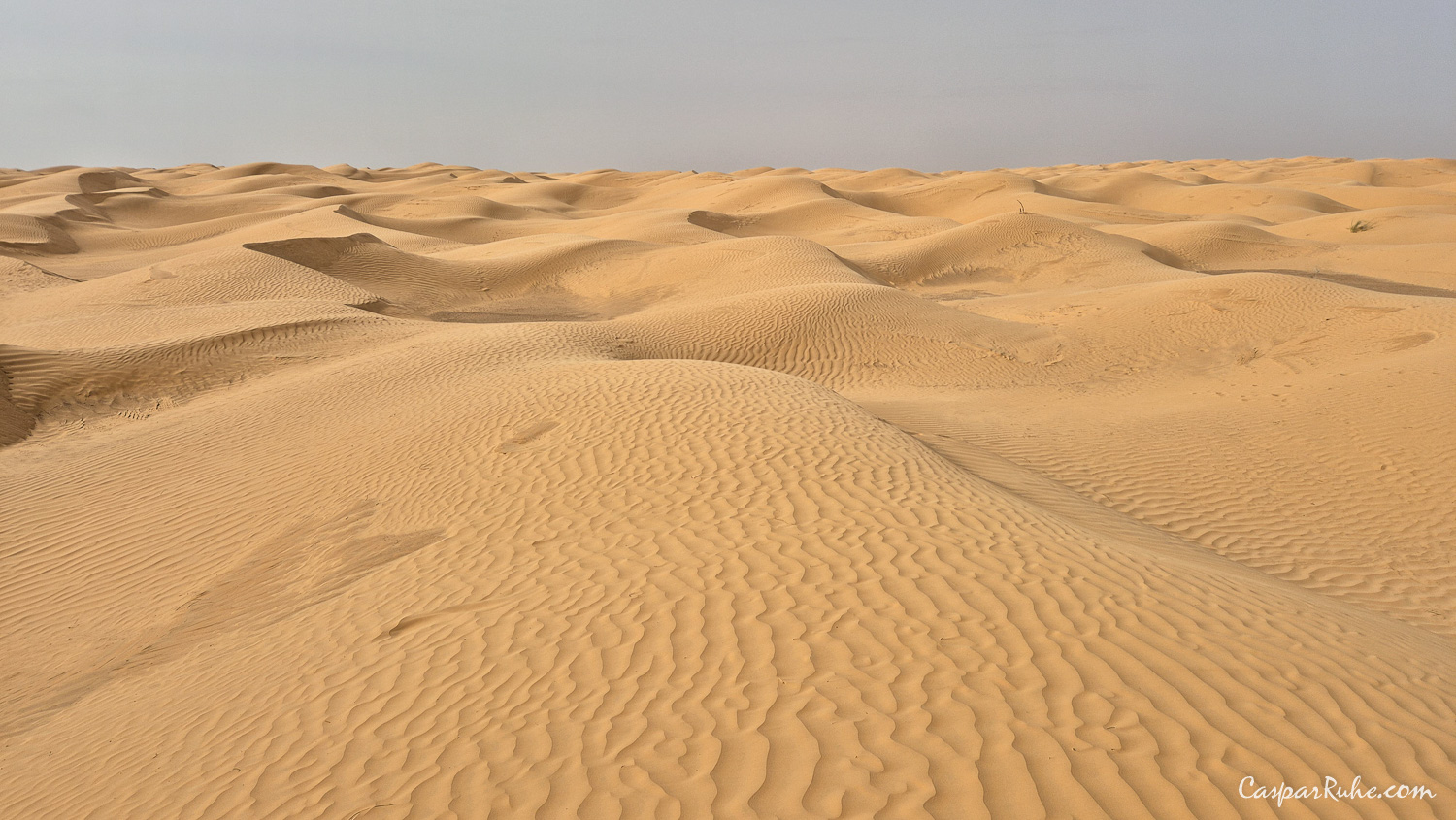 Jebil National Park